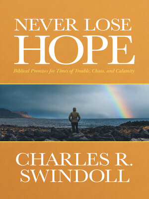 cover image of Never Lose Hope